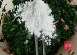 Alfalfa Egg Pancake Recipe Illustration 7