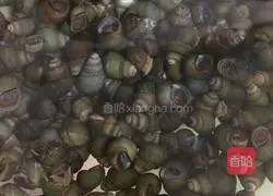 Illustration of how to make spicy snails 1