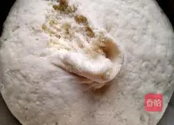 Illustration of how to make colorful steamed buns 4