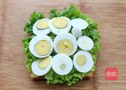  Illustration of how to make tuna cheese sandwich 8