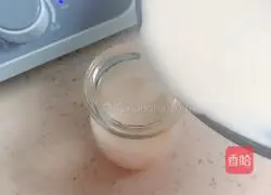 Mango Milk Jelly Recipe Illustration 5