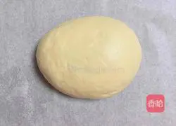 Illustration of how to make sea and land pizza 5