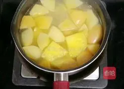 Pineapple Apple Sugar Water Recipe Illustration 5