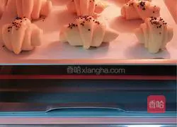 Illustration of how to make delicious and easy croissants 7