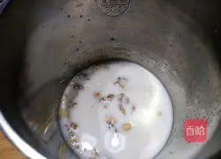 Illustration of how to make peanut walnut juice 5