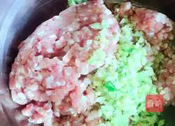 Illustration of how to make wonton 2