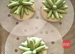 Illustration of how to make succulent-shaped steamed buns 25