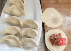 Pork and Mushroom Dumplings Recipe Illustration 5