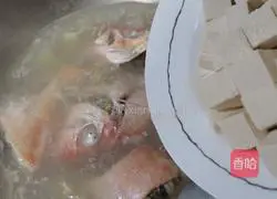 Big Eye Chicken Fish Soup Recipe Illustration 6