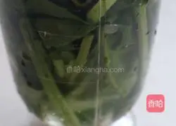 Spinach and Ham Sausage Burrito Recipe Illustration 2