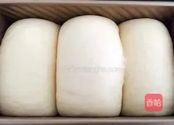 Tangzhong Raisin Toast Recipe Illustration 17