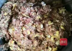 Illustration of how to make colorful dumpling skin dumplings 5