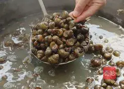 Summer is here, let’s go to the fields and make a spicy snail sauce recipe 4