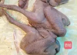 Illustration of how to cook pigeon soup 4