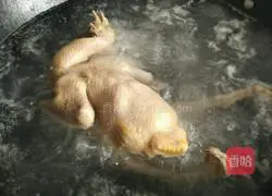 Illustration of how to make pigeon soup 2