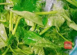 Pumpkin sprout soup recipe 4