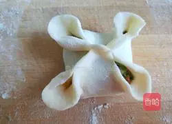 Illustration of how to make steamed dumplings with vegetables and shrimps with blooming flowers and four seasons 10