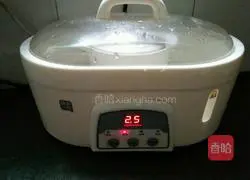 Lily Sichuan Bell Pear Juice Recipe Illustration 11