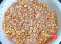 Pork Corn Fried Dumplings Recipe Illustration 5