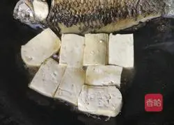 Nutritional milk white crucian carp tofu soup recipe 5