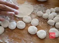 Illustration of how to make three fresh dumplings 5