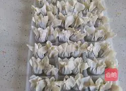Illustration of how to make shrimp wontons 11