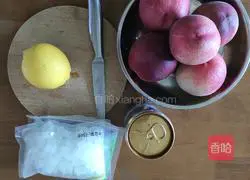 Peach Sparkling Water Recipe Illustration 1