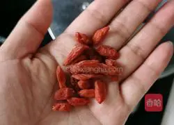 Illustration of the Recipe of Buxuenuangong Soup 4