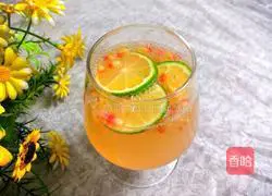 Pomegranate Illustration of how to make sparkling cocktails 16