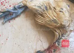 Illustration of how to make coconut chicken soup 4