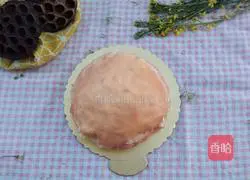 Red Heart Dragon Fruit Thousand Layer Illustration 14