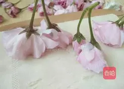Illustration of how to make salted cherry blossoms 3