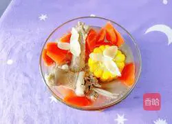 Recipe for Lily Carrot and Goose Soup 14