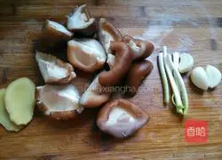 Big bone soup recipe 4