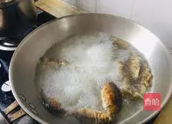 Illustration of how to make crucian carp, winter melon and tofu soup 3