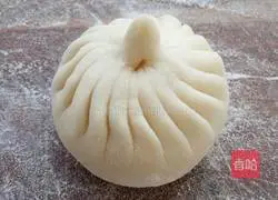 Illustration of how to practice bun pleats 5