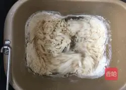 Illustration of how to make leek and tofu dumplings 2