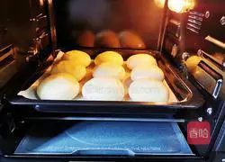 Purple rice meal bag recipe 21