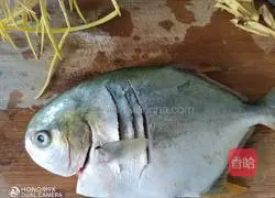 Illustration of steamed pomfret 2