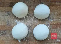 Illustration of how to make egg spinach zygotes 12