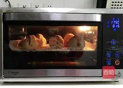 Whole wheat milk soft European recipe illustration 14