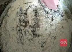 Homemade Quduoduo Illustrations 4