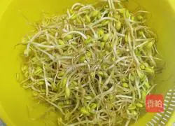 Illustration of how to make cold soybean sprouts 1