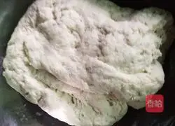 Illustration of how to make vegetarian dumplings 1