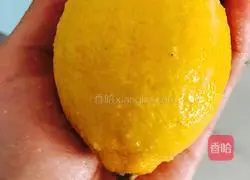 Lemon Passion Fruit Recipe Illustration 2