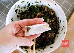 Illustration of making meat and three fresh dumplings 17