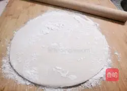 Illustration of hand-rolled noodles 5