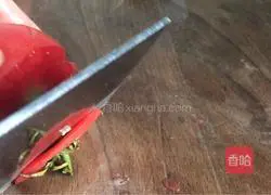 Tomato and Cucumber Illustration of how to make juice 4