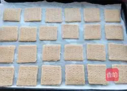 Whole wheat soda crackers recipe 11