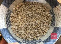 Illustration of how to make barley and winter melon tube bone soup 1